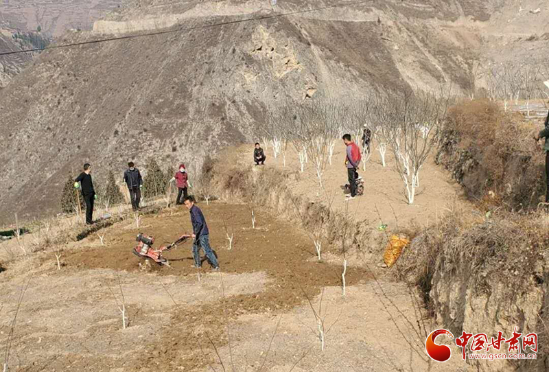 隴南武都區(qū)：“主題黨日”活動接地氣 “黨員服務隊”田間地頭助春耕（圖）