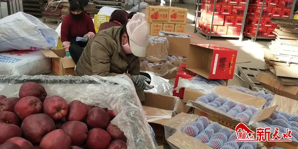 天水“花牛”最近有點(diǎn)“?！?>
        </a><em>天水“花?！弊罱悬c(diǎn)“?！?/em></li>
    <li><a  target=