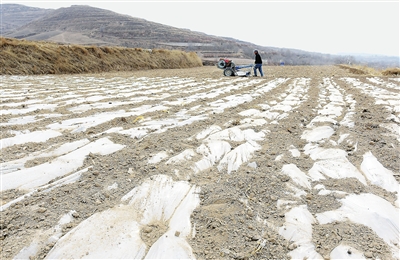 臨夏州永靖縣搶抓農(nóng)時(shí)