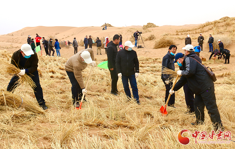 不“疫”樣的植樹節(jié)！甘肅省新聞戰(zhàn)線工作者攜手播綠“八步沙”（圖+視頻）