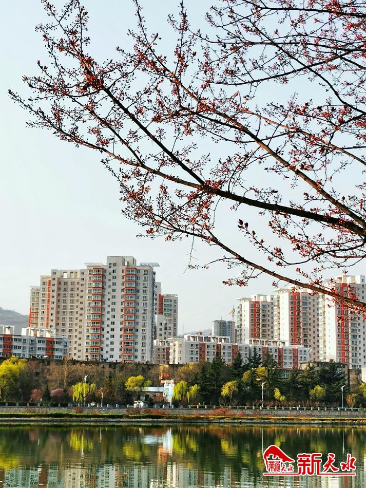 春天，古城天水的十個美麗瞬間