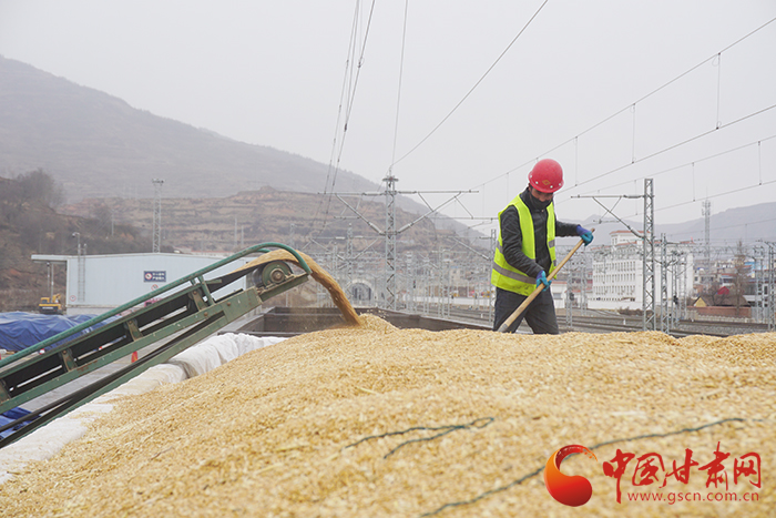 蘭州貨運(yùn)中心岷縣營(yíng)業(yè)部黨支部為客戶(hù)解愁為企業(yè)復(fù)工復(fù)產(chǎn)按下“快進(jìn)鍵”