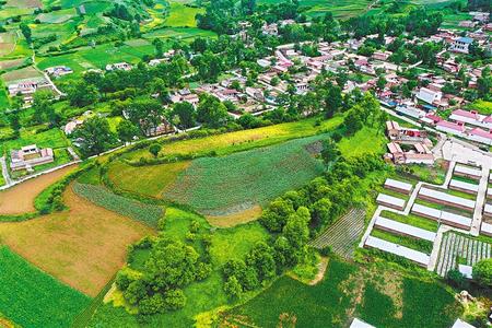 【溫暖的回響 滄桑巨變 飲水思源】這條路，通往幸福