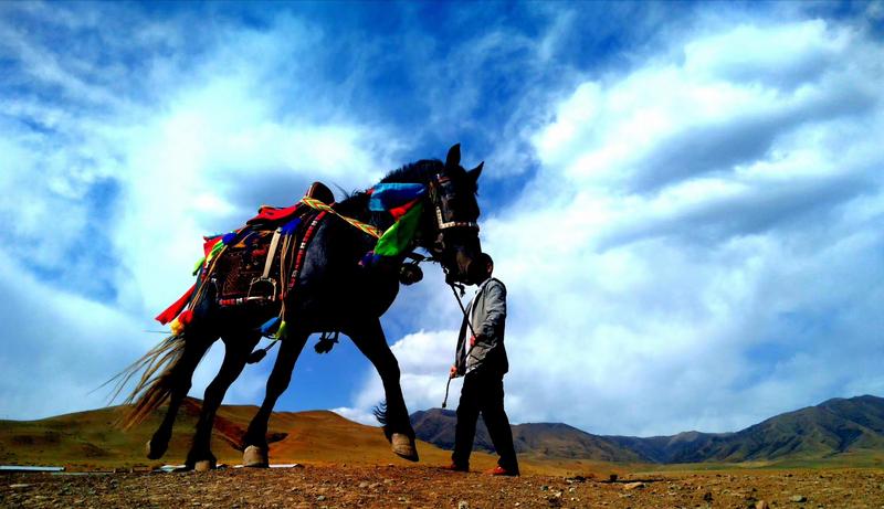 好消息！天祝被命名為“中國高原走馬之鄉(xiāng)”
