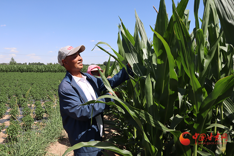 臨澤：“脫貧示范戶(hù)”楊發(fā)財(cái)迎來(lái)新生活