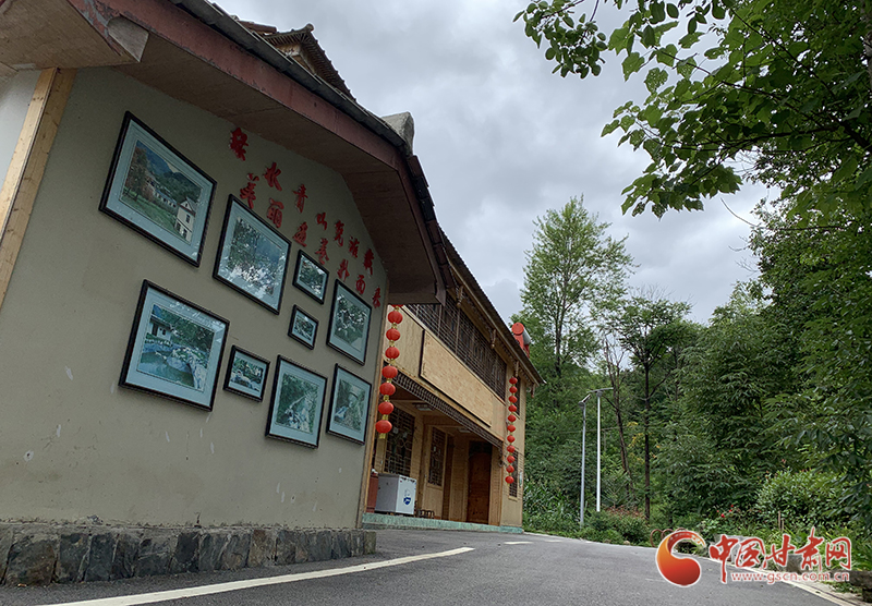 【走向我們的小康生活】村美、業(yè)興、民富……康縣何家莊描繪鄉(xiāng)村振興新畫卷（圖）