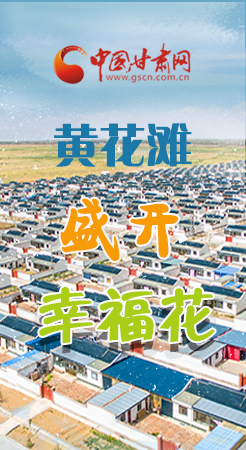 【跟著總書記看甘肅】長圖|武威黃花灘盛開幸?；?