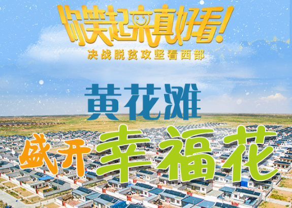 【你笑起來真好看】黃花灘盛開幸?；ǎ▓D解）