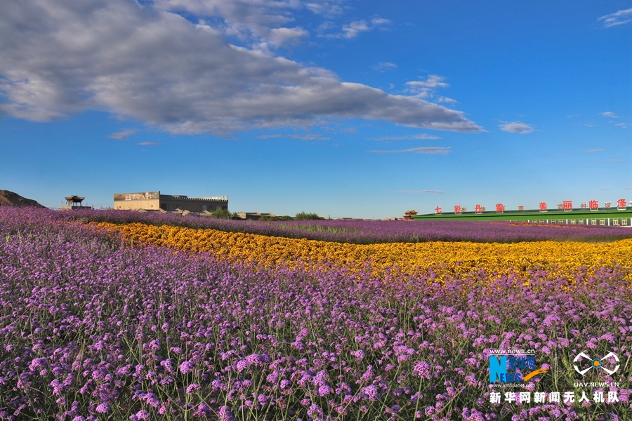【“飛閱”中國】鳳凰花?！罢钩帷钡は伎?>
        </a><em>【“飛閱”中國】鳳凰花海“展翅”丹霞口</em></li>
    <li><a  target=