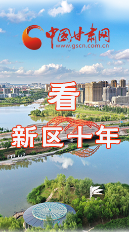 圖解|崛起！新區(qū)十年