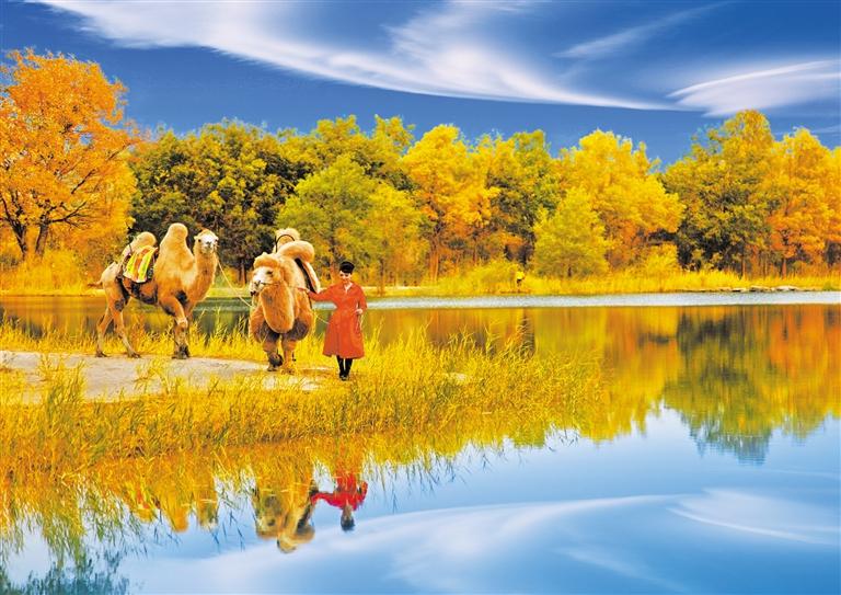 國慶長假，去金塔遇見最美胡楊