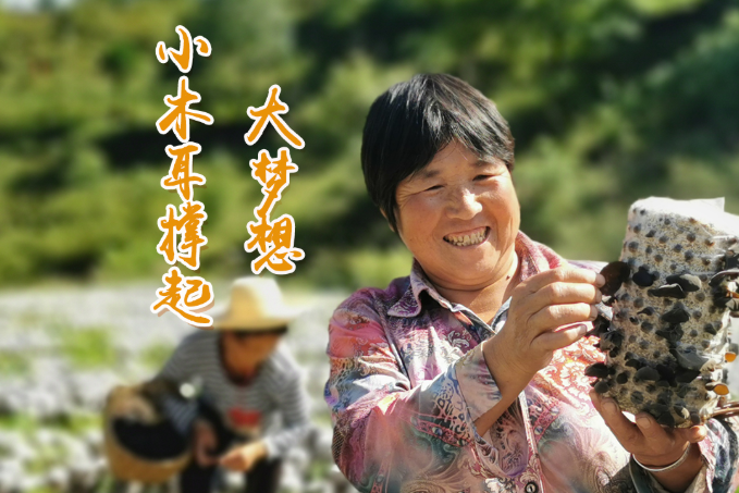 海報丨他們，乘“豐”破浪！