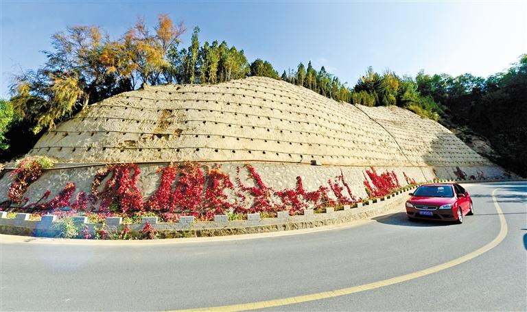 近90度陡坡上種樹！蘭州南北兩山綠化出新招