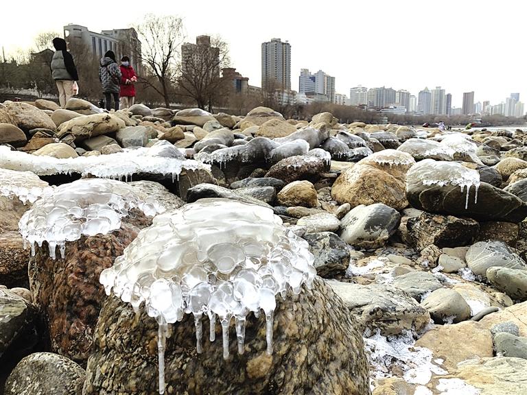 蘭州：水母上河灘？