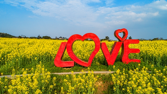 “l(fā)ove”創(chuàng)意拍照墻。廖濤 攝