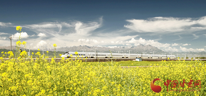 坐上火車“邂逅”春天，你可以這樣享“鐵路游”