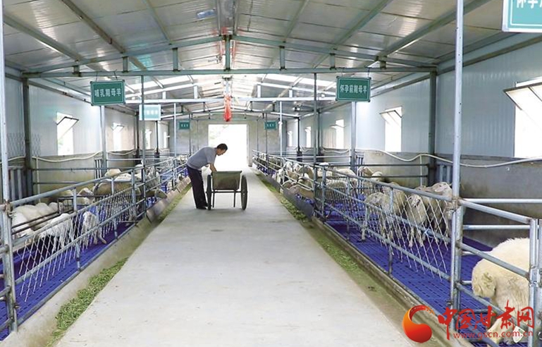 【小康之路 奮斗有我】懷一顆初心 擔(dān)一肩使命——記全國脫貧攻堅(jiān)先進(jìn)個(gè)人劉小兵