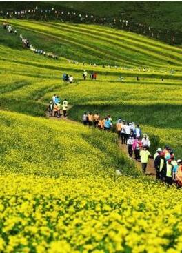 甘肅明確農(nóng)民進城落戶:不以退出承包地、林地等為條件