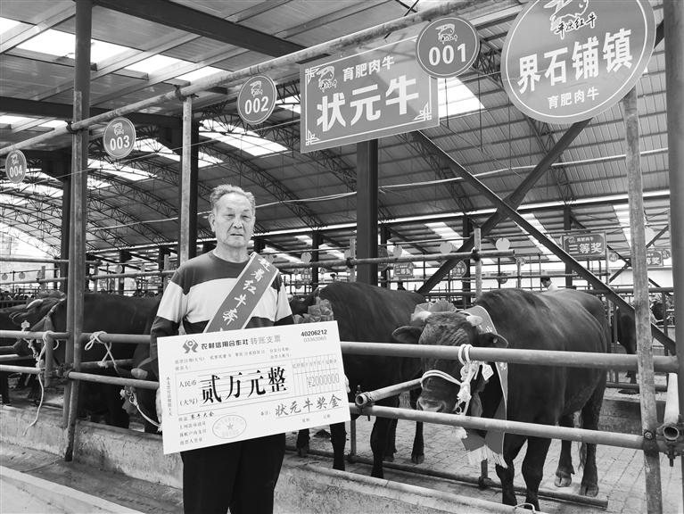 120頭“平涼紅?！膘o寧爭霸