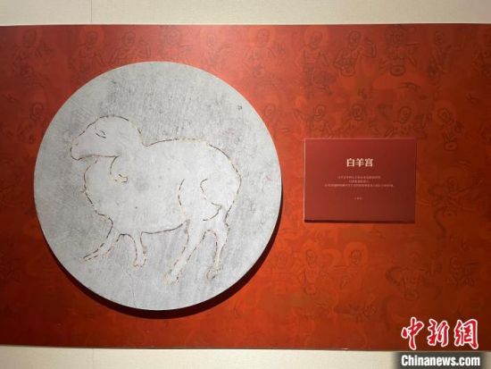 圖為展覽現(xiàn)場(chǎng)?！〗瓧顭?攝