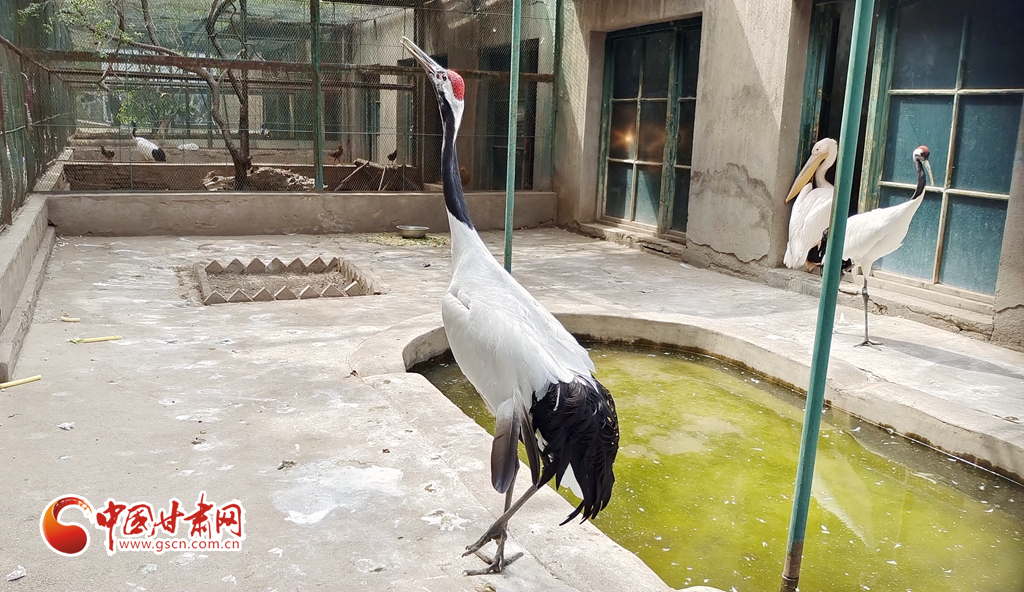 蘭州公安提醒市民：非緊急非必要，不出境