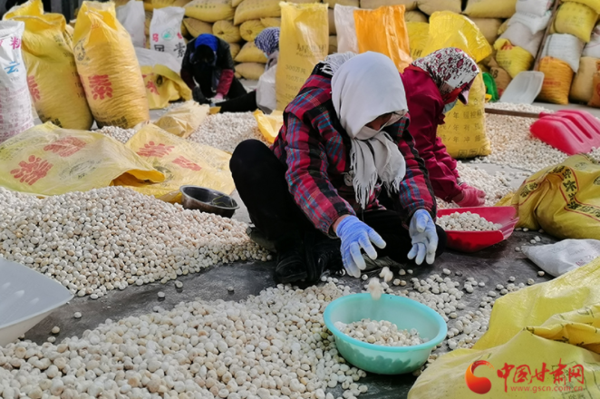 【甘快看】西和：發(fā)展中藥材產(chǎn)業(yè) 譜寫(xiě)鄉(xiāng)村振興新篇章