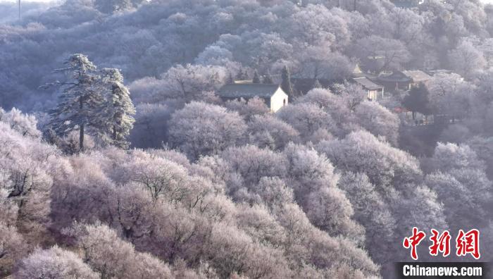 圖為霧凇美景?！⌒煺袢A 攝