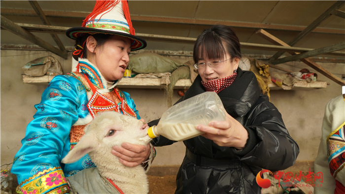 【履職盡責喜迎全國兩會】全國政協(xié)委員賀穎春：走訪牧民聽民意  建言資政為基層