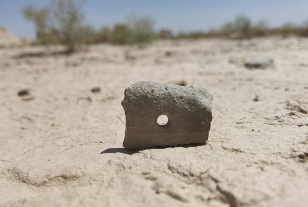 插圖1：河西走廊上遺存的古陶片。攝影：陳曉斌。拍攝日期：2020年6月。