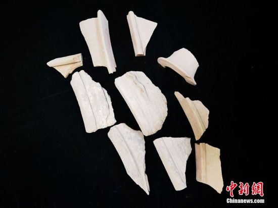 圖為靜寧縣賈河鄉(xiāng)竇坪村出土的彩陶片、紅陶片。 夏劍鋒 攝