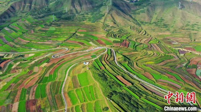 秋日里，榆中縣馬坡鄉(xiāng)千畝梯田，不同農(nóng)作物漸趨成熟，呈現(xiàn)出多種色彩，宛若大地的“調(diào)色盤”?！圆?攝