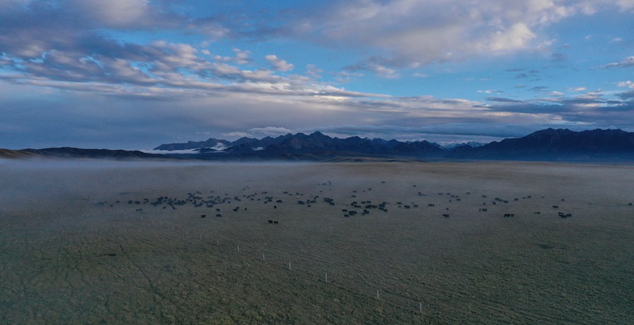 甘肅山丹馬場(chǎng)：峽谷云霧似仙境。 王超攝