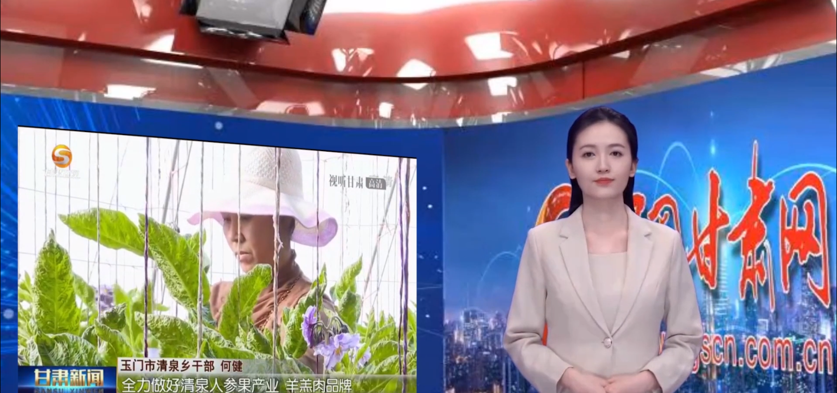 【AI小隴說·黨的二十大精神在基層】示范建設為引領(lǐng)，美麗鄉(xiāng)村畫中來