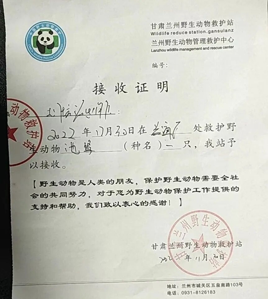 受到救助的池鷺被蘭州野生動物保護(hù)站接收。（蘭州市公安局七里河分局供圖）