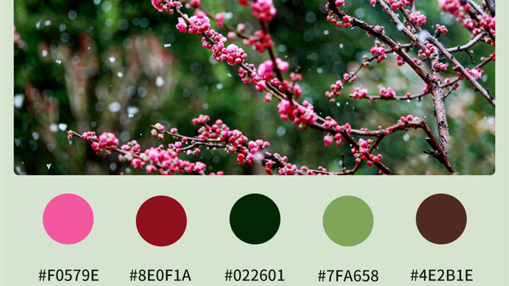 微海報(bào)|收藏！色卡里的春日甘肅