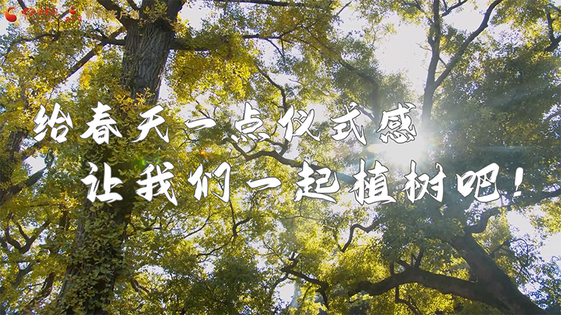 短視頻|給春天一點(diǎn)儀式感，讓我們一起植樹吧！