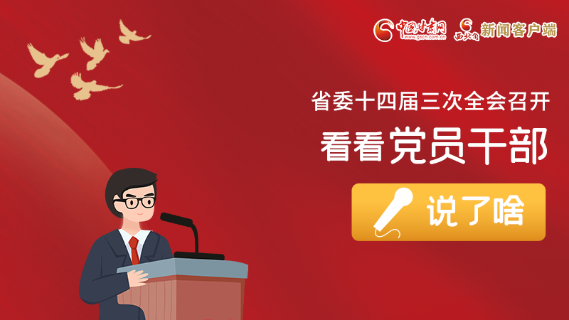 圖解|事關(guān)甘肅省委十四屆三次全會，黨員干部這么說！