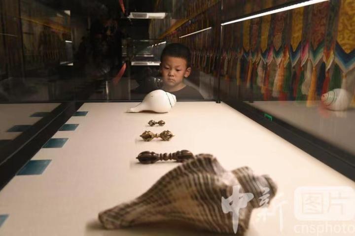 圖為展出的“白海螺法器”吸引小觀眾。 中新社記者 戴文昌 攝