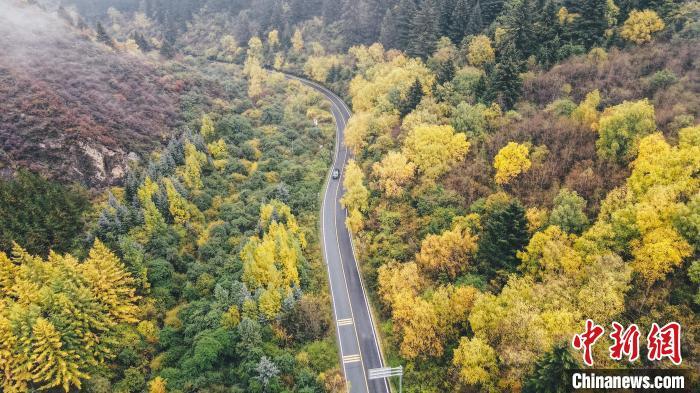 深秋，航拍位于蘭州市榆中縣的興隆山，景色如畫。金峯 攝</p>
<p>