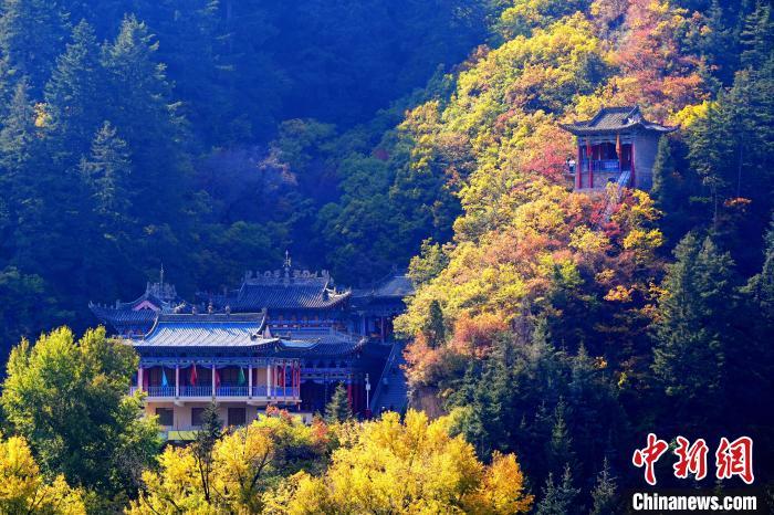 深秋，位于蘭州市榆中縣的興隆山景色如畫。宮衛(wèi)紅 攝