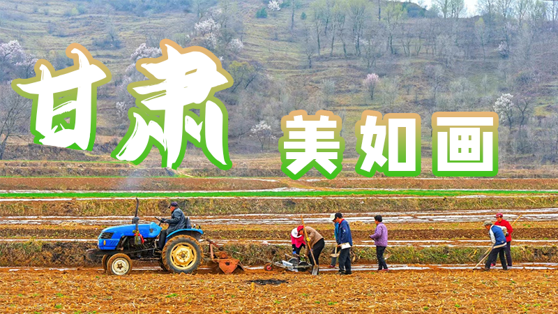 微海報|甘肅，美如畫