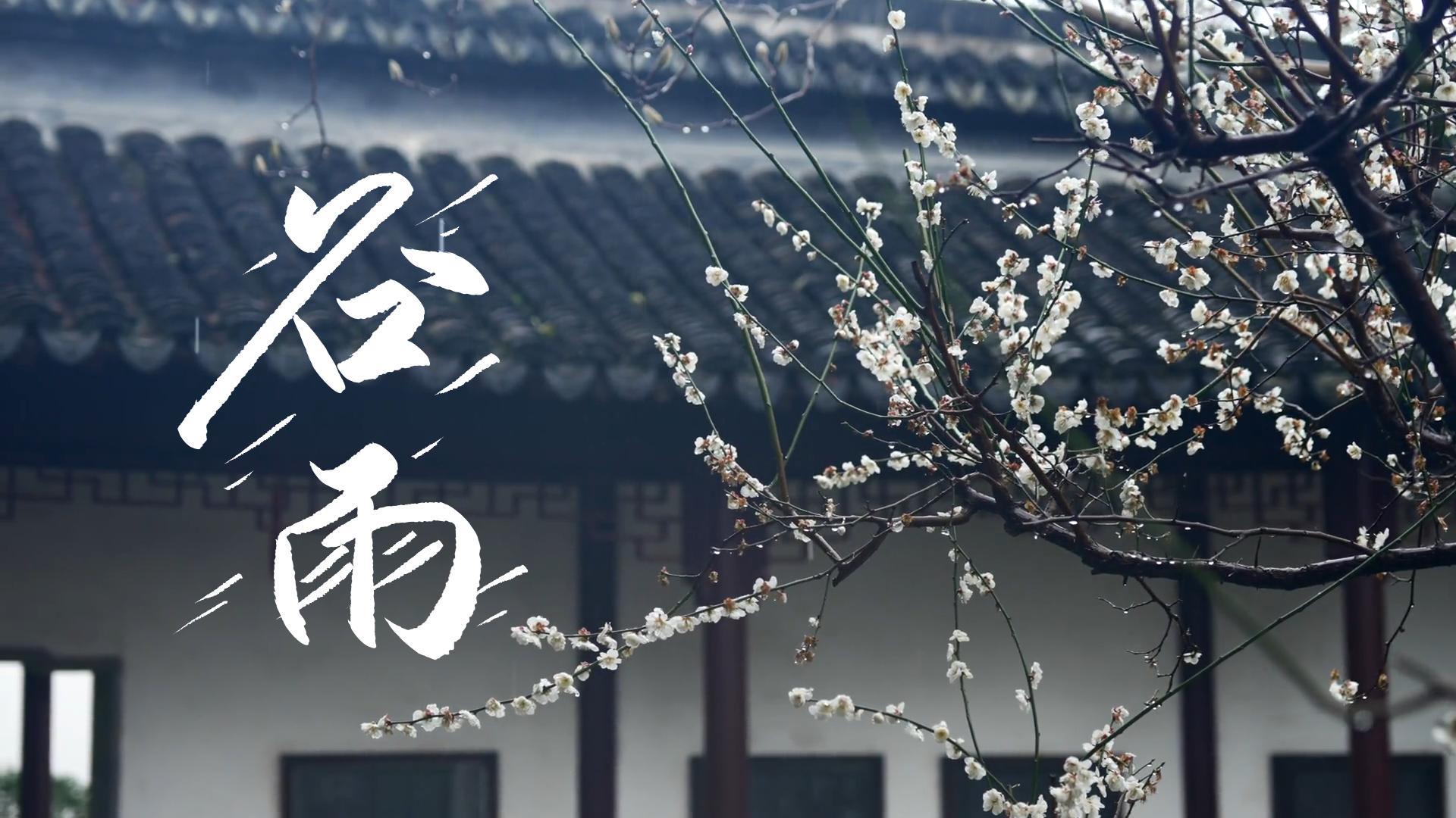 【節(jié)氣里的大美甘肅】谷雨，春天的最后一次回眸