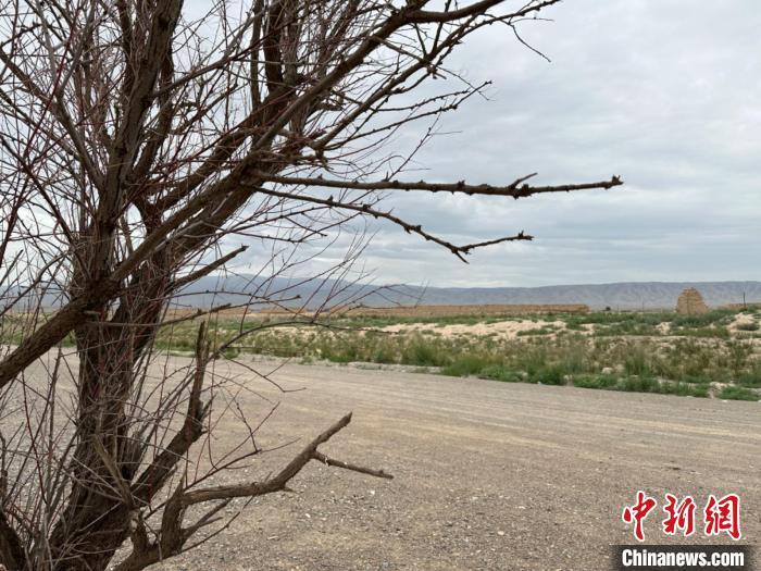 圖為位于長(zhǎng)城墻體上的“馬面”或“敵臺(tái)”?！〈魑牟?攝