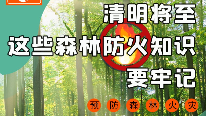 【甘快看】圖解|緊繃“安全弦”！清明，這些森林防火知識要牢記