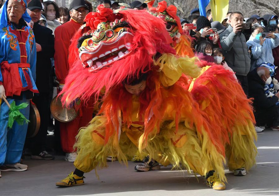 蘭州北獅表演現(xiàn)場(chǎng)。受訪者供圖