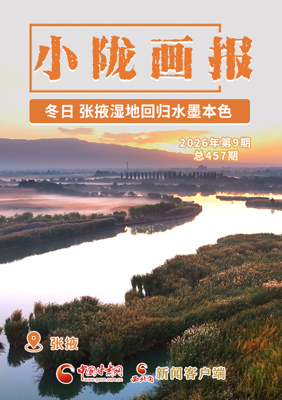【小隴畫報·457期】冬日，張掖濕地回歸水墨本色 