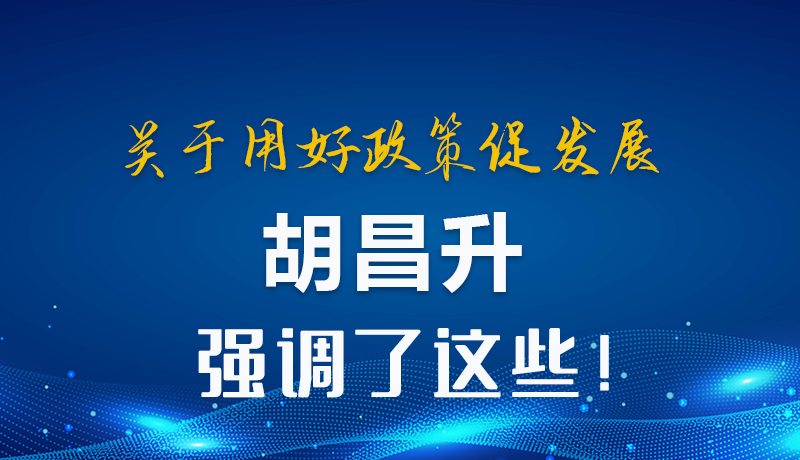 圖解|關(guān)于用好政策促發(fā)展 胡昌升強(qiáng)調(diào)了這些！