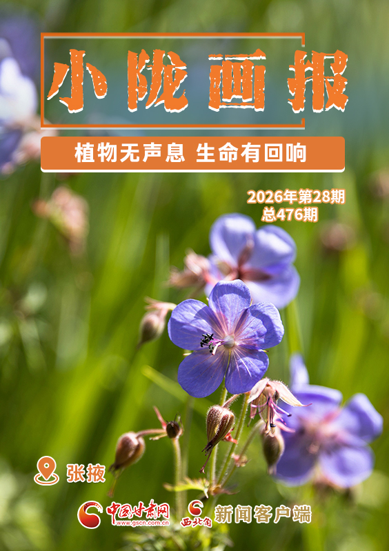 【小隴畫報·476期】張掖：植物無聲息 生命有回響