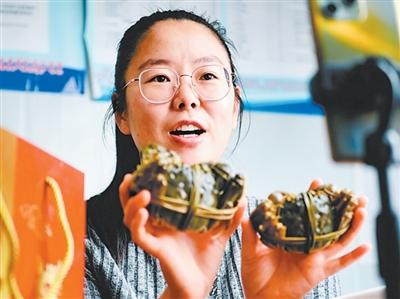 銀川青年夫婦用黃河水養(yǎng)出“金螃蟹”