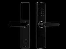 青松沃德-Wi-Fi 指紋鎖家用防盜門智能門鎖密碼鎖刷卡電子鎖 防磁干擾 防撬 L9-WT (不含鎖體，鎖體需另購）